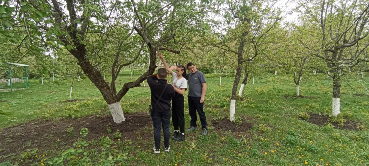 Эколята-Молодые защитники Природы.